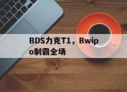 开云体育在线-BDS力克T1，Bwipo制霸全场
