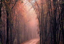 开云体育-基米希的证明之夜，当瑞士铁壁遇上阿森纳风暴