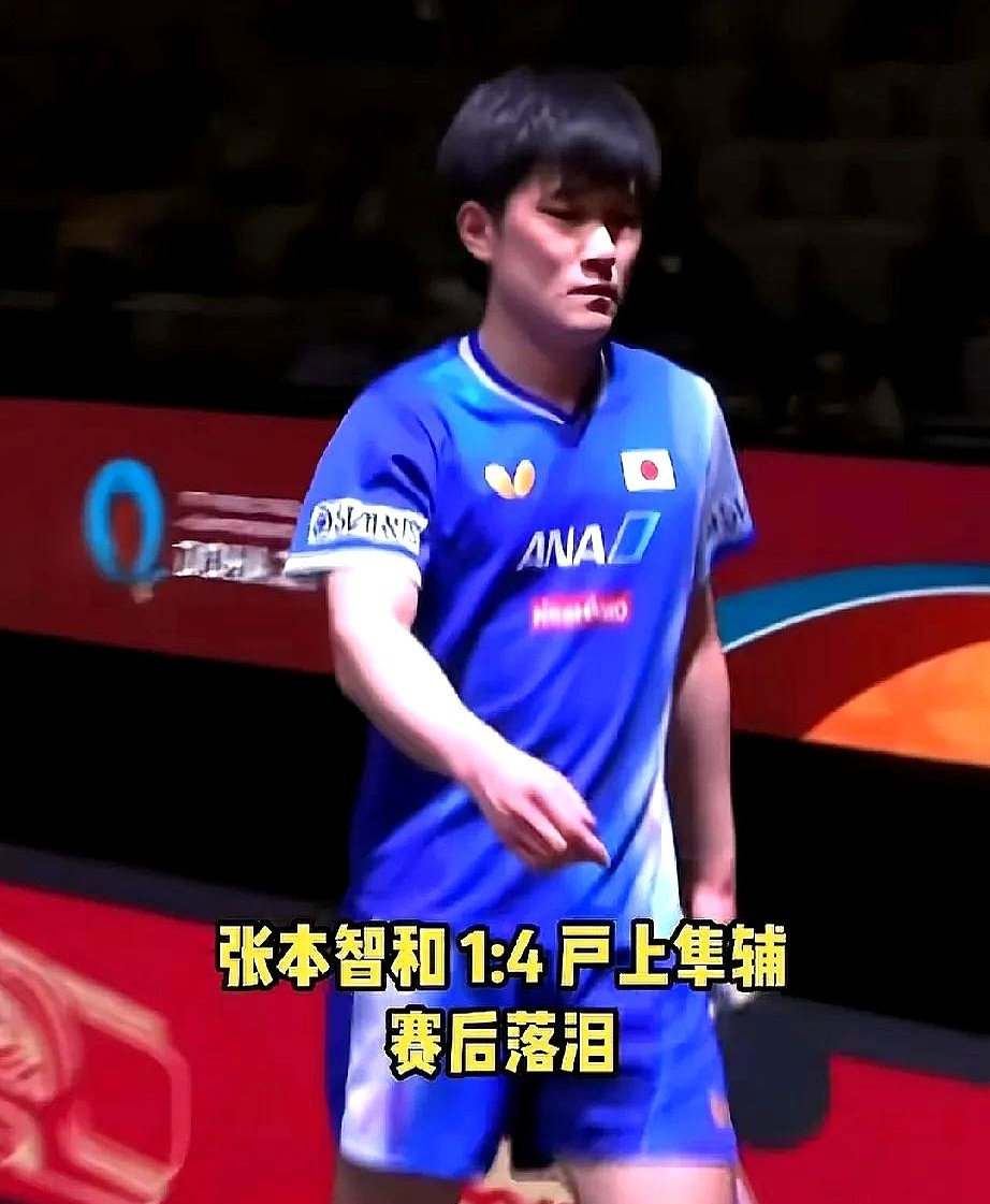 关于比利时乒乓球队力克瑞典乒乓球队，张本智和制霸全场的信息