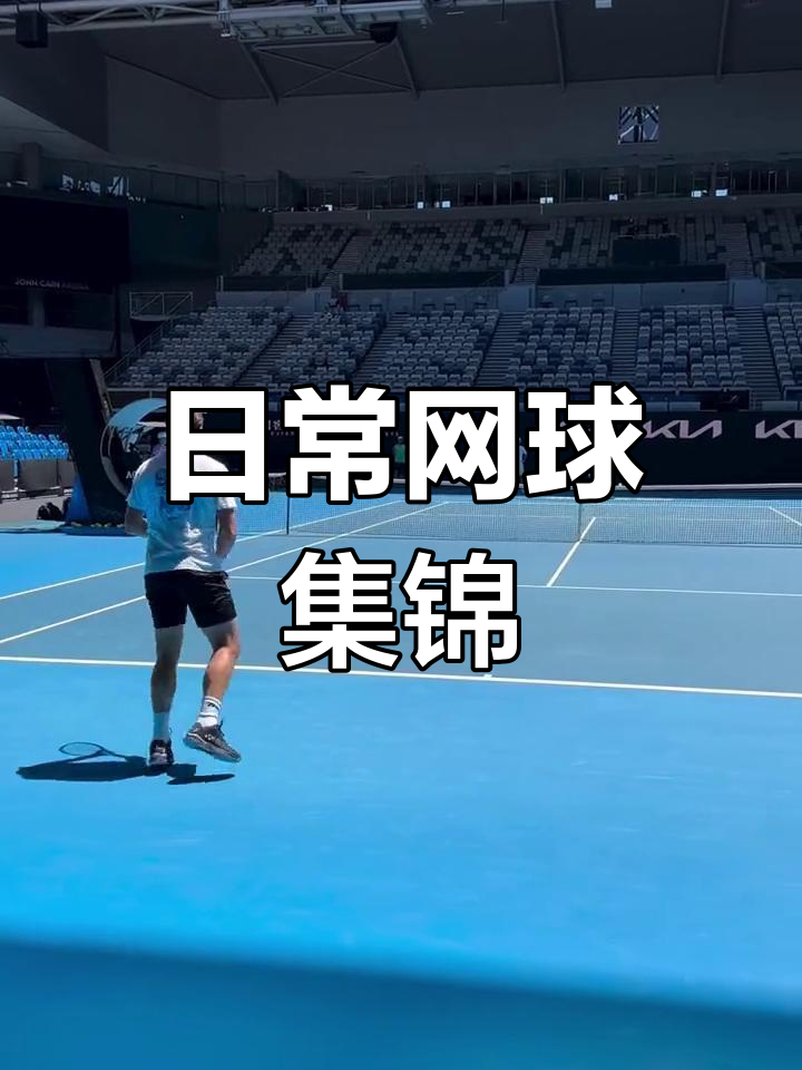 英国网球队轻取法国网球队，瓦林卡关键制胜的简单介绍