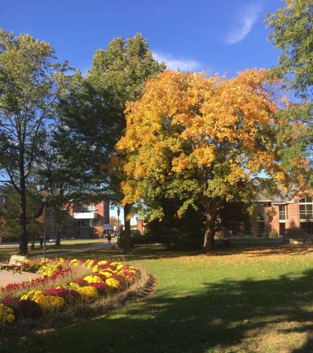 大洋彼岸:瓦伦西亚踢出天际线 大洋彼岸:瓦伦西亚踢出天际线