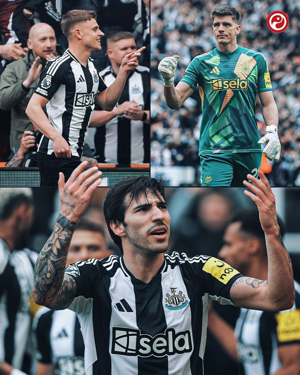 关于纽卡斯尔联主场大胜沃特福德,保级前景一片光明的信息 关于纽卡斯尔联主场大胜沃特福德,保级前景一片光明的信息