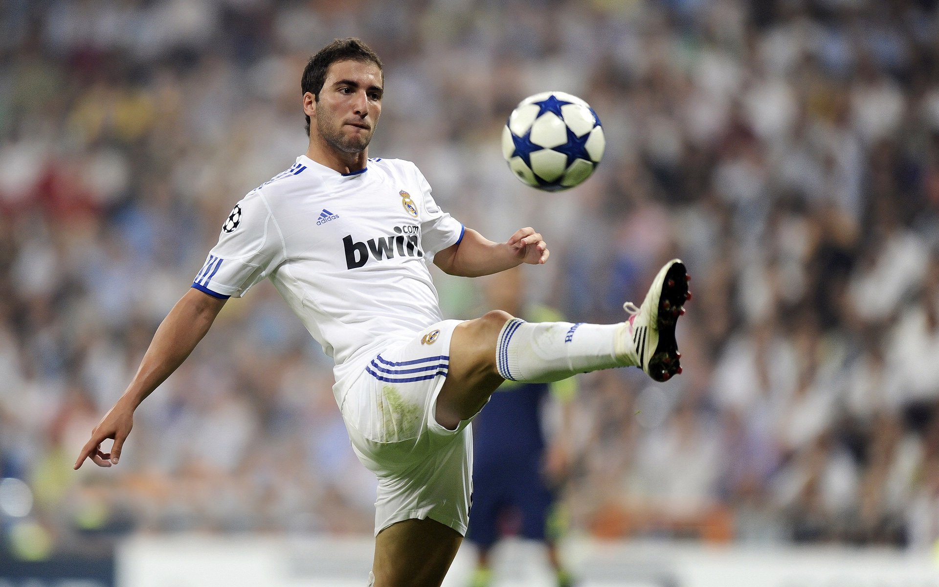 绿茵绝杀与羽坛烈焰,法国队绝杀韩国队,陈雨菲状态火热点燃赛场